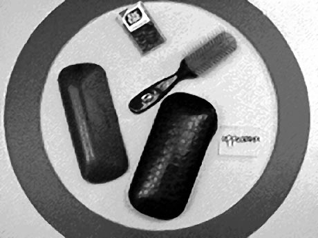 Early Prototype for the Categorization Activity